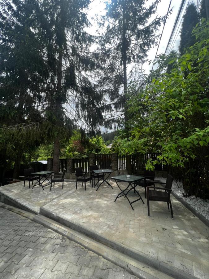 Chalet Minut Vatra Dornei Exterior photo